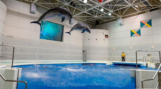 【鹿兒島】鹿兒島水族館