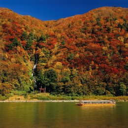 【東北楓特惠】5天 紅葉藏王纜車．最上川扁舟．銀山溫泉．鳴子峽．由利高原鐵道．角館武家屋敷．採蘋果．燒肉吃到飽．名湯溫泉(仙台進／花卷出)