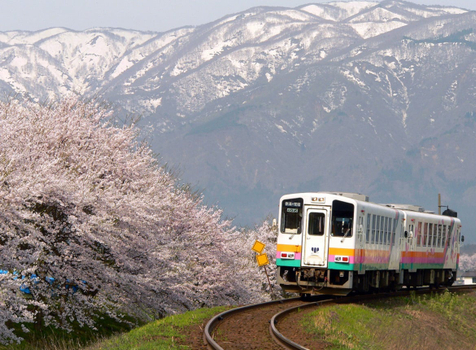 【櫻情星東北】山形櫻花鐵道.日中線垂櫻瀑布.白石川堤千本櫻.三春瀧櫻.銀山溫泉.米澤和牛X燒肉放題.百選溫泉湯宿 5天