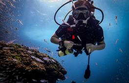 普吉島PADI五星級潛水中心水肺潛水首次體驗