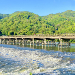 暑假餘位揪團省♯潮玩關西~京阪小資輕旅行5日嵐山渡月橋.下鴨神社糺の森.伏見稻荷千鳥居.燒肉放題