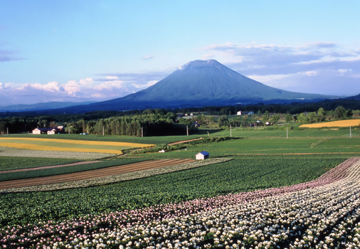 北海道小資樂購５天～海洋尼克斯、羊蹄富士山、小樽浪漫旅、最美支笏湖、溫泉饗食之旅