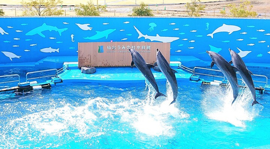 【仙台】仙台海洋森林水族館