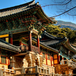快閃釜慶５天～慶州佛國寺、茶道體驗、膠囊列車、圓形咖啡廳、皇南餅DIY、良洞村、一晚住慶洲★釜山航空、一站彩妝