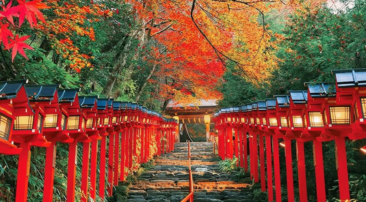 京都紅葉季三千院.貴船神社.嵐山一日遊