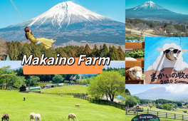 富士山親子人氣打卡自然體驗一日遊 大石公園&Lawson便利店&馬飼野牧場（ 東京出發）