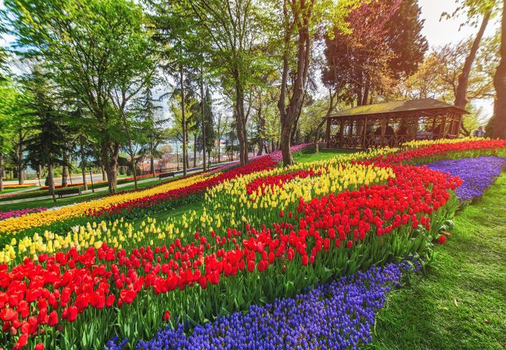 花漾土耳其11天～雙中段飛機、鬱金香季、早鳥賞熱氣球、雙宮秘境、夢幻棉堡、三晚五星艾美連泊