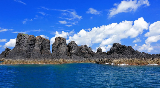 東海賞燕鷗/海釣一日遊