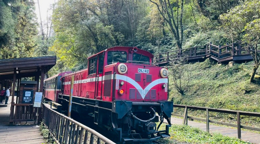 阿里山森林浴+奮起湖老街漫遊2天