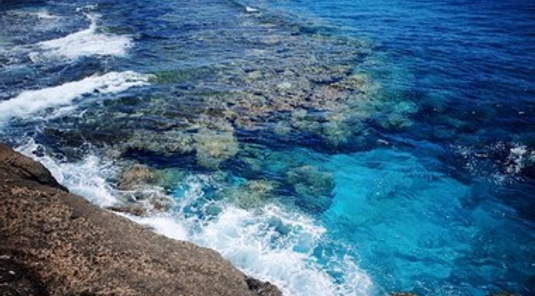 台東．觀海/森林單車/品茶香+綠島3天