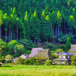 精緻假期~大阪天橋立傘松公園.伊根灣遊船.美山合掌村.嵐山渡月橋.清水寺.伏見稻荷大社.春日大社.海鮮螃蟹國產牛五日