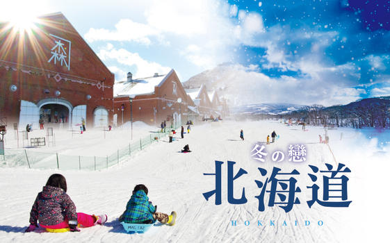 易起追雪限時省♯冬の戀北海道5日-雪上活動、冰上釣魚、企鵝漫步、熊出沒、米其林星空夜景、洞爺夢幻彩燈隧道、札幌白色燈樹節、螃蟹吃到飽