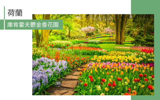 鬱約花季早鳥省♯春暖花開鬱金香 法國‧盧森堡‧比利時‧荷蘭10日(雙點進出)