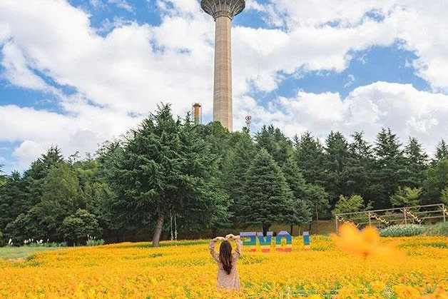 【真航易起飛．釜慶邱三城4日】不進保肝、E WORLD主題樂園、千年佛國寺、伽倻主題王國、甘川洞文化村、海岸列車、最美海東龍宮寺、南浦洞自由逛街