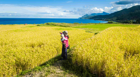 花蓮．石梯坪+鹽寮啖龍蝦+月崖灣農場 2天