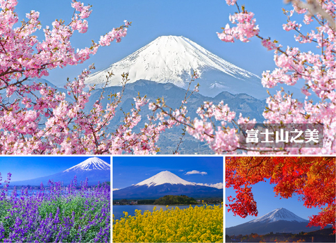 東京春櫻雙溫泉7日.百選櫻花.富士絕景纜車.千鳥之淵隧道.絕美列車.長瀞遊船.輕井澤秘境.清里高原.三大螃蟹吃到飽