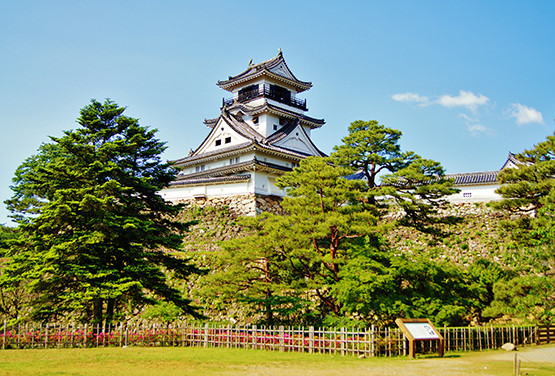 四國阿波藍~仁淀川屋形船.藍染體驗.高知城.栗林公園五日