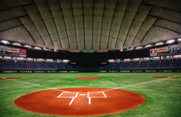 TOKYO DOME TOUR [英語導遊] ~棒球名人堂博物館 & 小石川后樂園門票