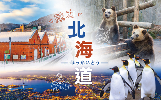 暑假揪團超省♯魅力北海道5日-函館百萬夜景、漁火鐵道、卡哇伊熊牧場、伊達時代村、企鵝遊行、奇幻燈遊步道、人氣NO1小丑漢堡
