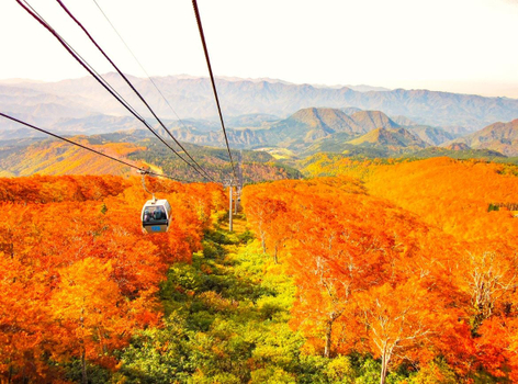 【東北星楓采】紅葉奧入瀨溪．十和田湖．森吉山紅葉纜車．秋田楓紅鐵道．角館賞楓．升等雙溫泉 4天(不進免稅店)