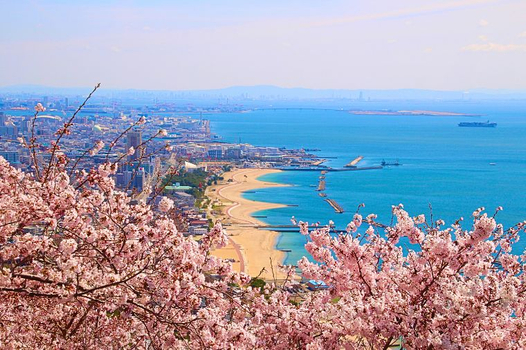 預約粉紅櫻花海♯【大阪 櫻花聖地巡禮+螃蟹國產牛吃到飽】須磨浦纜車x近江八幡遊船五日(泰越捷)