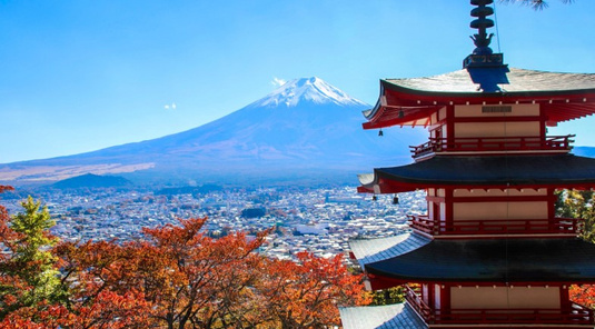 富士山淺間公園+大石公園+西湖根場