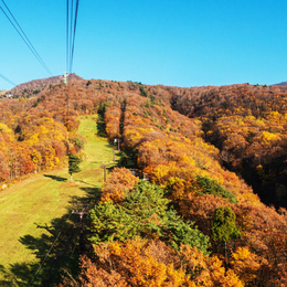台中賞楓東北五日~紅葉空中絕景藏王纜車.藏王狐狸村.溫泉美食五日(星宇)