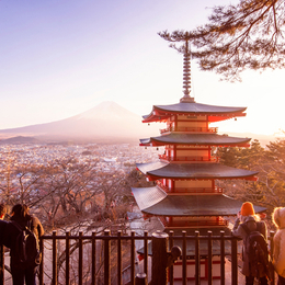【賠點錢我是寵粉專業戶】質感東京6天～東京鐵塔迪士尼、橫濱空中纜車、湘南復古電車、富士山全景纜車、淺間公園、敘敘苑燒肉