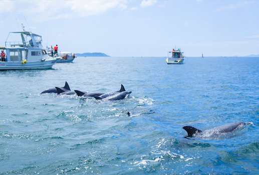 易起FUN寒假♯九州感蟹季~光之黃金大道.湯布院童話小鎮.柳川遊船五日