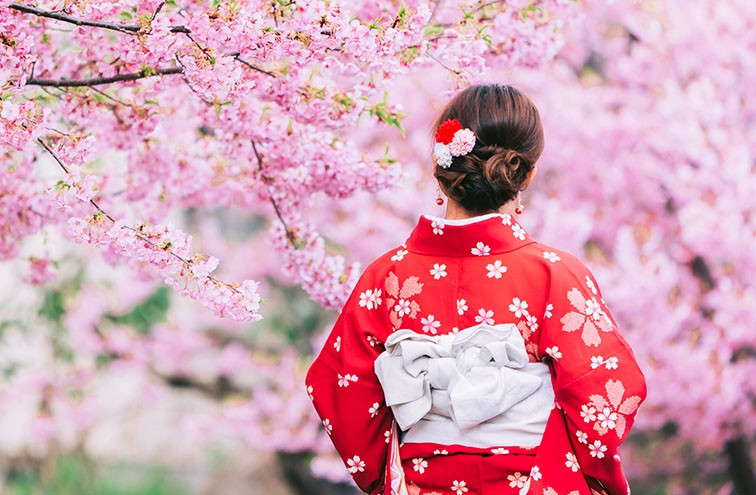 戀上粉紅櫻花海♯【春櫻花漾關西5日】京都和服．日本環球影城、清水寺、奈良公園、宇治川遊船、夙川敷緑地、明石公園[含稅]