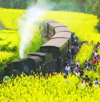 【絕美九寨溝8日】九寨溝.嘉陽小火車.樂山大佛遊江.【VIP三排椅】【贈送3大秀】