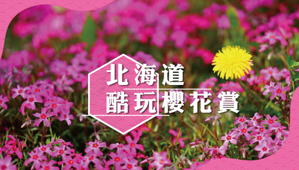 親子同樂會♯【酷玩櫻花賞X層雲峽+雙溫泉】東藻琴芝櫻+上湧別鬱金香．旭山動物園．白金青池．流冰天使．愛奴村 6 天
