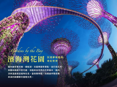 寒假獨家限時省♯新馬樂翻天~環球影城、樂高樂園、夜間動物園、夜訪星空螢河5日環球影城.樂高樂園.夜間動物園.夜訪星空螢河