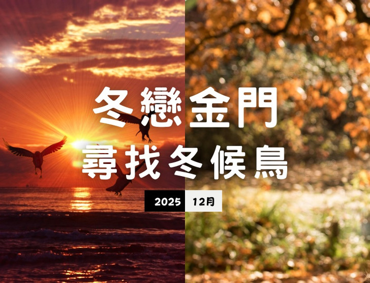 景點照片