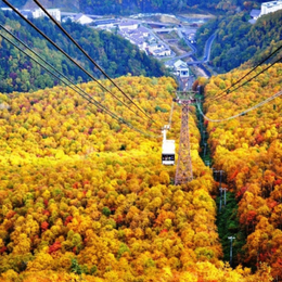 【北海道楓特惠】層雲峽黑岳纜車．豐平峽紅葉溪谷．絕美青池x白須瀑布．可愛波波草．OUTLET．浪漫小樽．燒肉吃到飽5天
