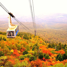 【楓迷星東北】奧入瀨溪．八甲田楓紅纜車．十和田紅葉狩．抱返溪谷．青森採蘋果．燒肉放題．雙溫泉 4天(不進免稅店)
