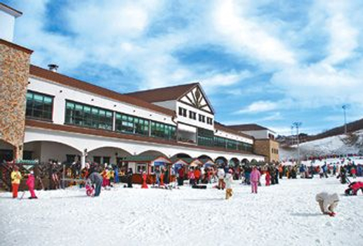 易起FUN寒假♯漫天雪花愛釜山5天(不走人蔘保肝+2晚5花)~伊甸園滑雪場(含雪具住雪場)、LUGE渠道滑車+纜車、泰迪熊博物館【德威】