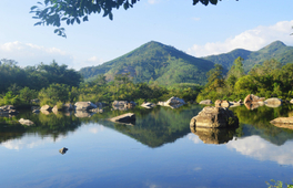 歸仁 Quang Trung 博物館＆Ham Ho 生態旅遊＆Thien Hung 寺一日遊