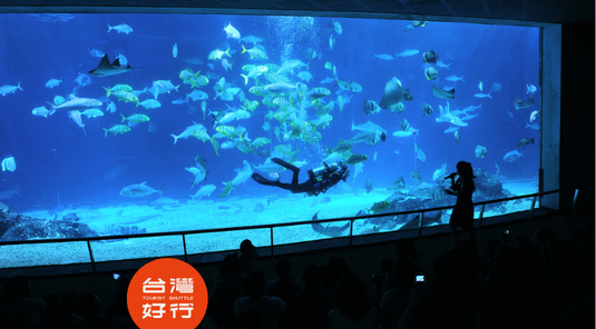 【高雄】墾丁快線來回票+海生館門票