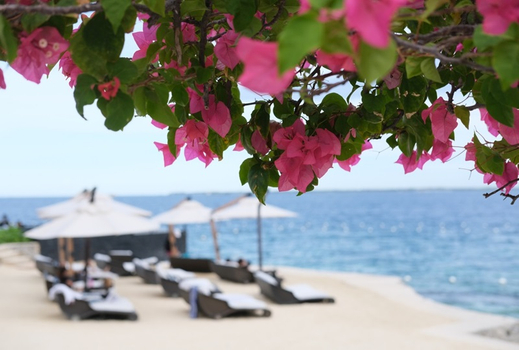 宿霧喜迎春、六人成行～歐斯陸鯨鯊、JPARK水上樂園、馬克坦島渡假村五日