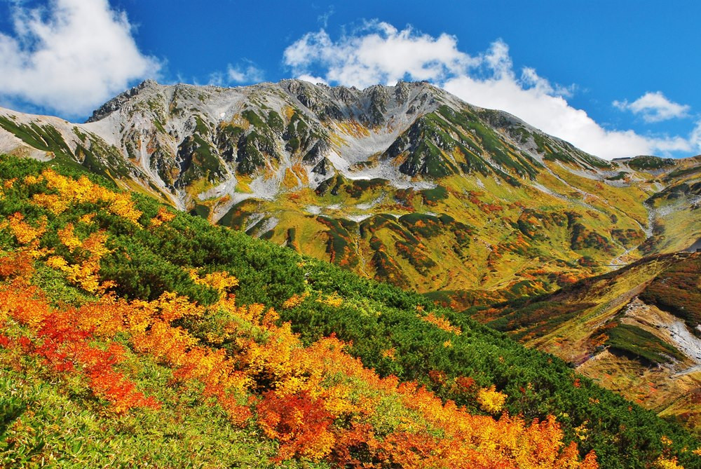 立山黑部旅遊指南 熱門景點資訊 交通地圖 Eztravel易遊網