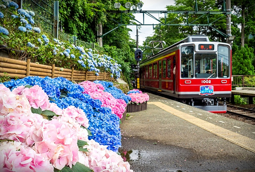 【元氣日本】【東京立山黑部開山蟹定】桃園成田．六日遊︱雪之大谷．紫藤花物語．漫遊輕井澤．上高地．富士芝櫻(0424起N06)