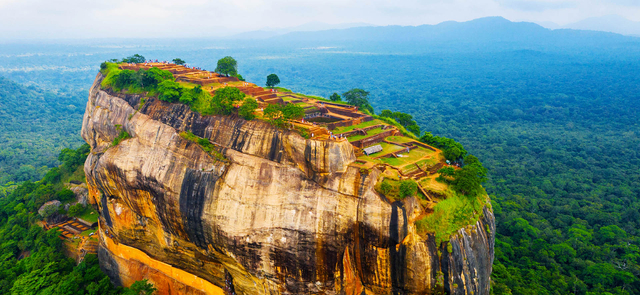 晚鳥限時搶♯斯里蘭卡 五星珍珠之戀雅拉 高山海濱雙火車１０天