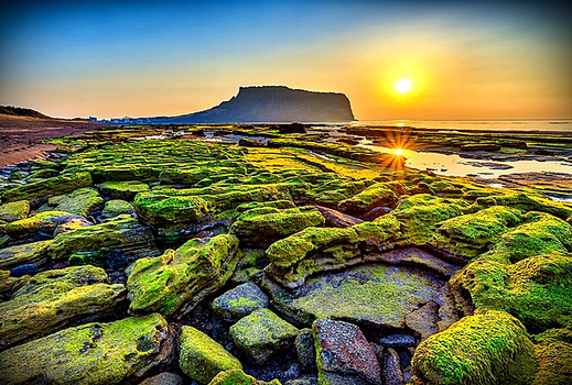 寒假獨家限時省♯【限量促銷.童話濟州】橘子採果.森林小火車.探訪城邑古村.神話世界.藍鼎住一晚4日(不走人蔘保肝)