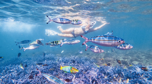 忘憂島浮潛、私人海上樂園一日遊