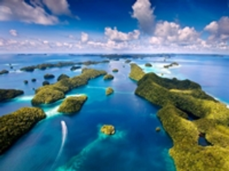 最愛帛琉~精選4日【二天出海浮潛、牛奶湖、鯊魚城、藍色珊瑚礁、干貝城、水母湖】