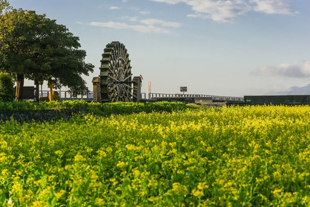 池上秋收 Eztravel易遊網