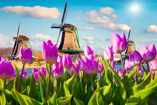 晚鳥限時搶♯【花季限定荷比法】庫肯霍夫、羊角村、水上城堡、羅浮宮、雙遊船9日