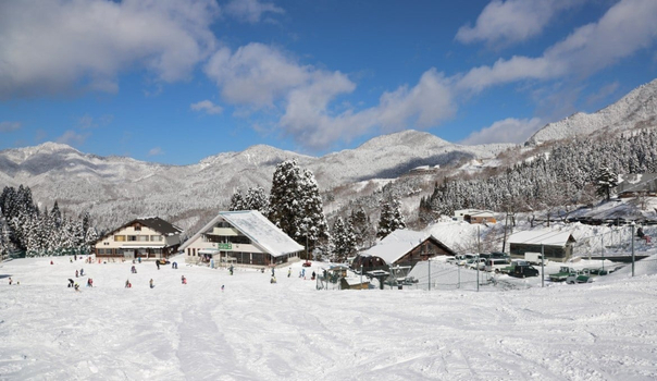 【冬戀山陰】山陰戲雪趣．鳥取砂雪景．松江城遊覽船．出雲大社．特色花鳥園．白兔神社．燒肉吃到飽．名湯溫泉4天(不進免稅店)