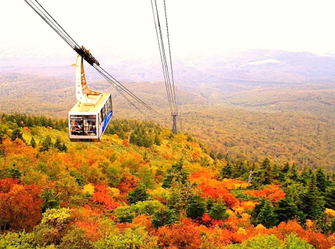 【楓迷星東北】奧入瀨溪．八甲田楓紅纜車．十和田紅葉狩．抱返溪谷．青森採蘋果．燒肉放題．雙溫泉 4天(不進免稅店)